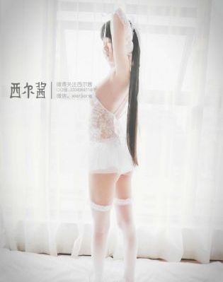 星期六综艺免费观看